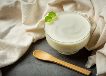 manfaat yoghurt untuk diet