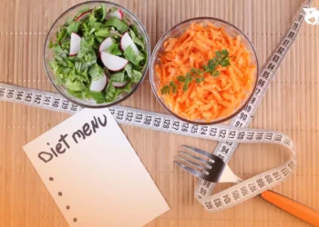 menu diet sehat pemula