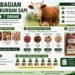 Pembagian Daging Kurban Sapi Untuk 7 Orang