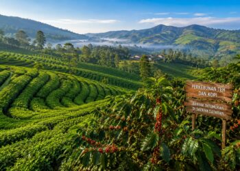 Perkebunan Teh Dan Kopi